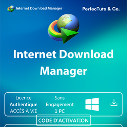 Internet Download Manager (IDM)