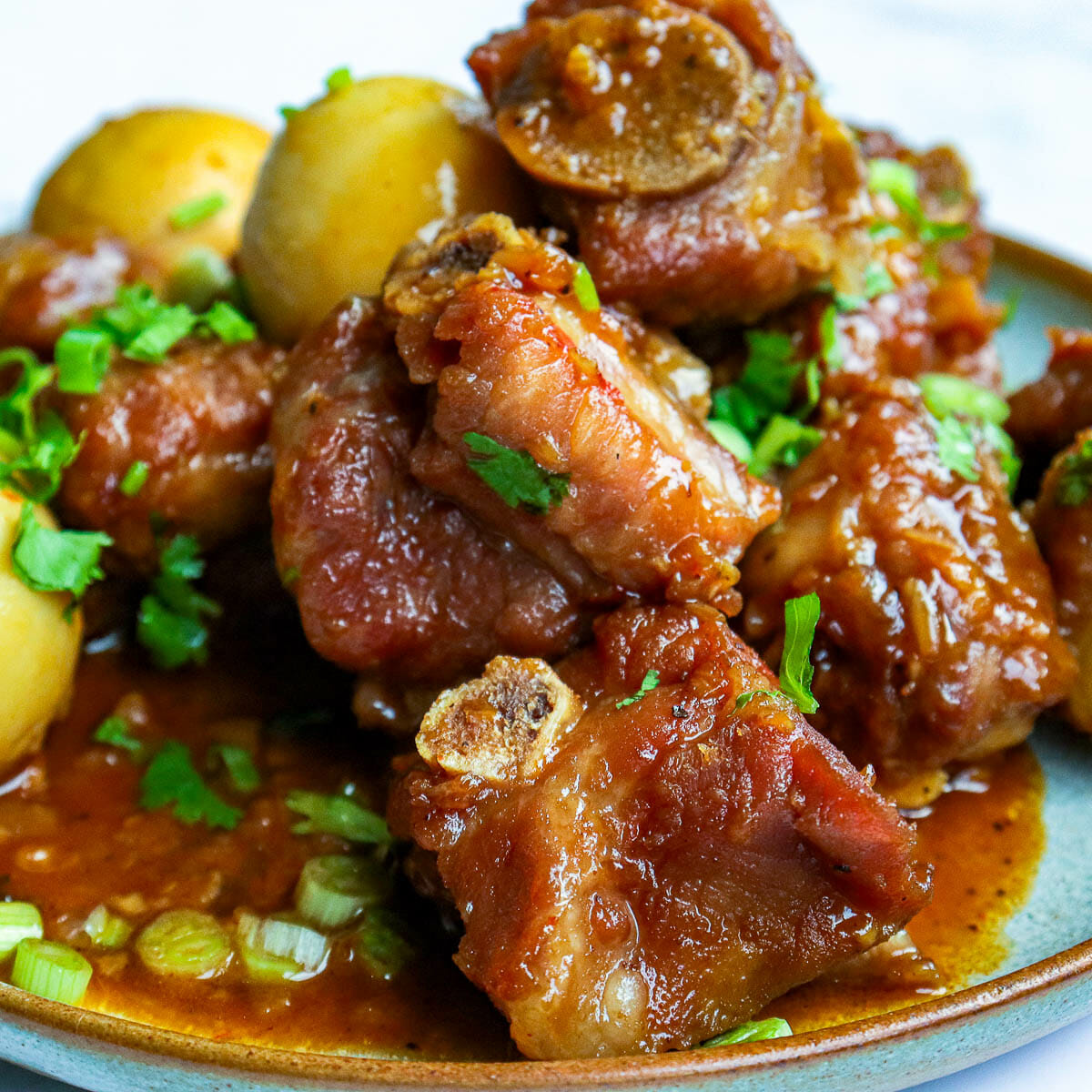 Braised Pork_0