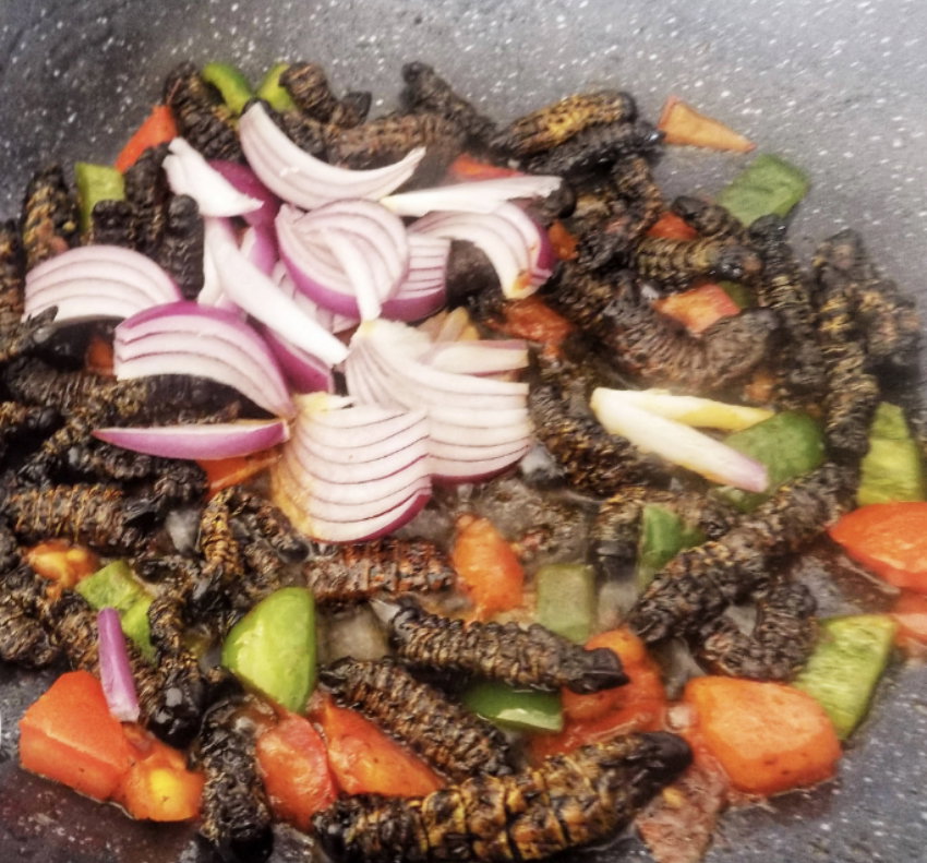 Vinkubala (Caterpillars)