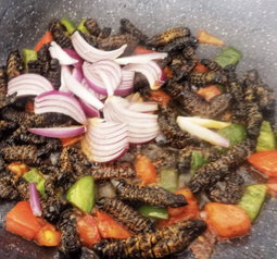 Vinkubala (Caterpillars)