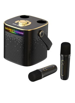 KOLEER   High Power Karaoke Speaker with Bluetooth 