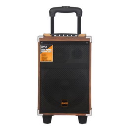 BAAB B-Q 8 Upgrade Portable Trolley Wireless Bluetooth DJ Karaoke PRO Party Wooden Speaker