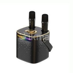 Koleer P889 Wireless Karaoke Speaker