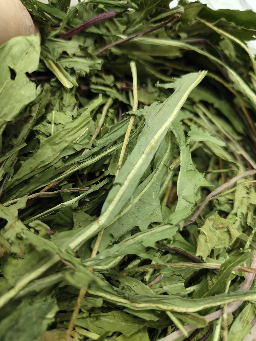 Dandelion Leaves (100g) 