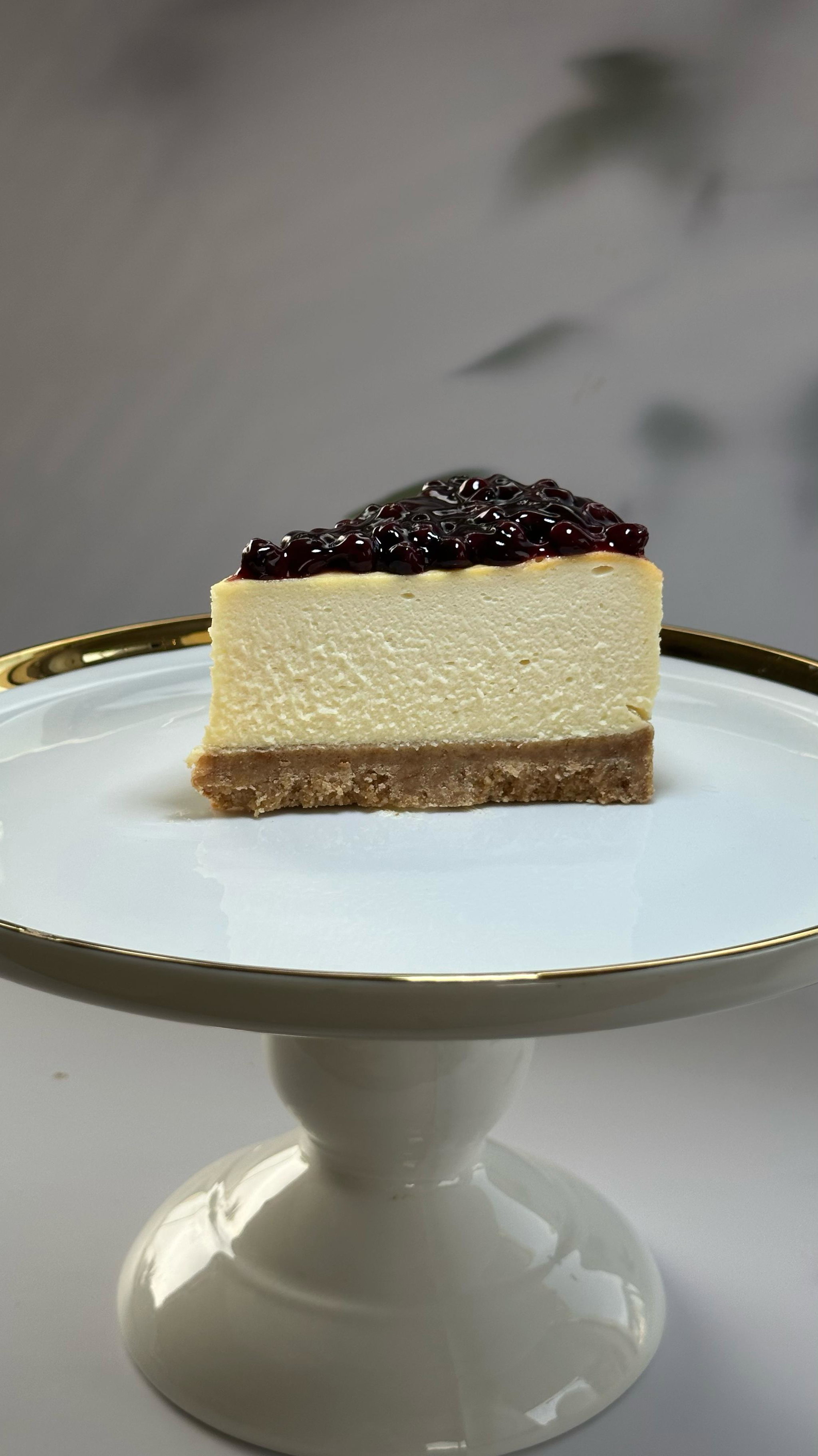 Blueberry Cheesecake_0