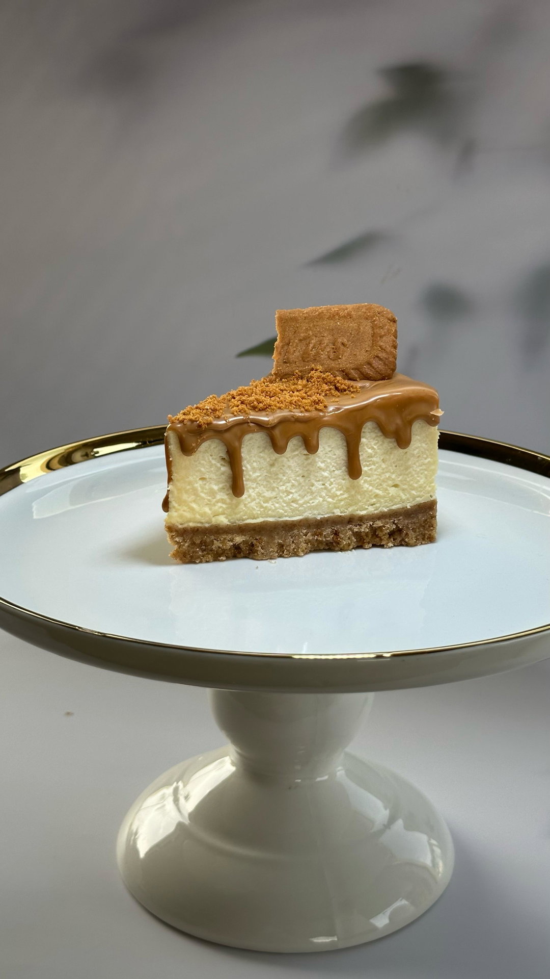 Lotus Cheesecake