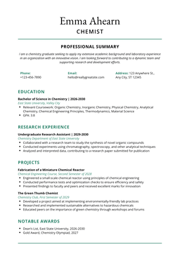 Resume Profasional ✨ HOT SELLER ‼️
