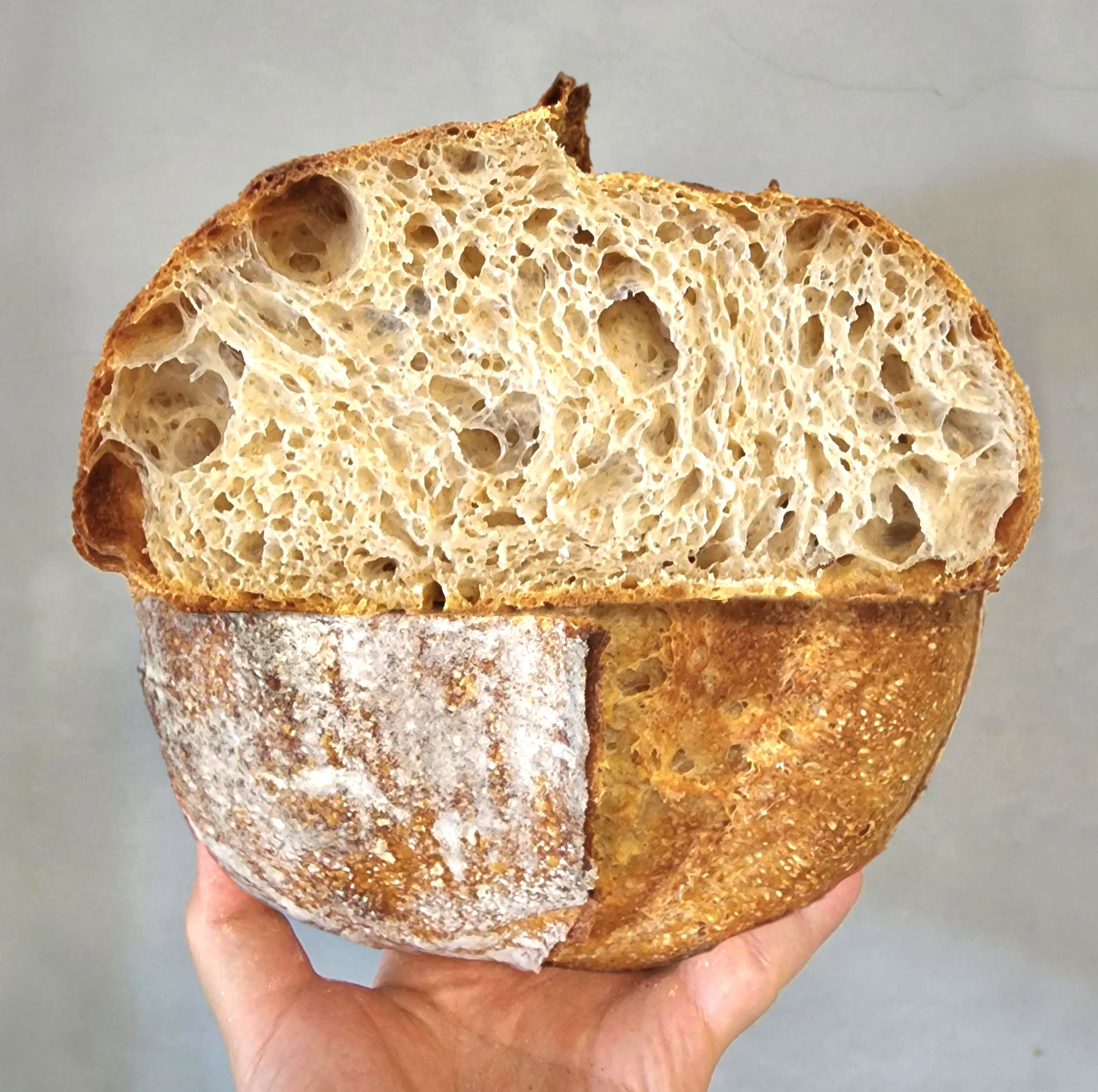 Plain Country Sourdough_0