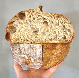 Sourdough Series