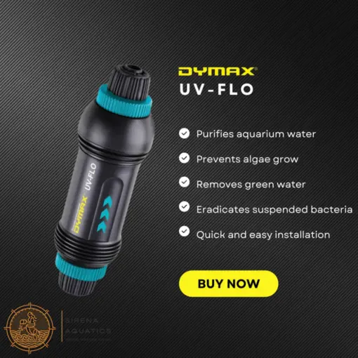 DYMAX UV-FLOW_2