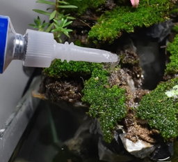 Guo Elephant Scaping Glue 5g Tube