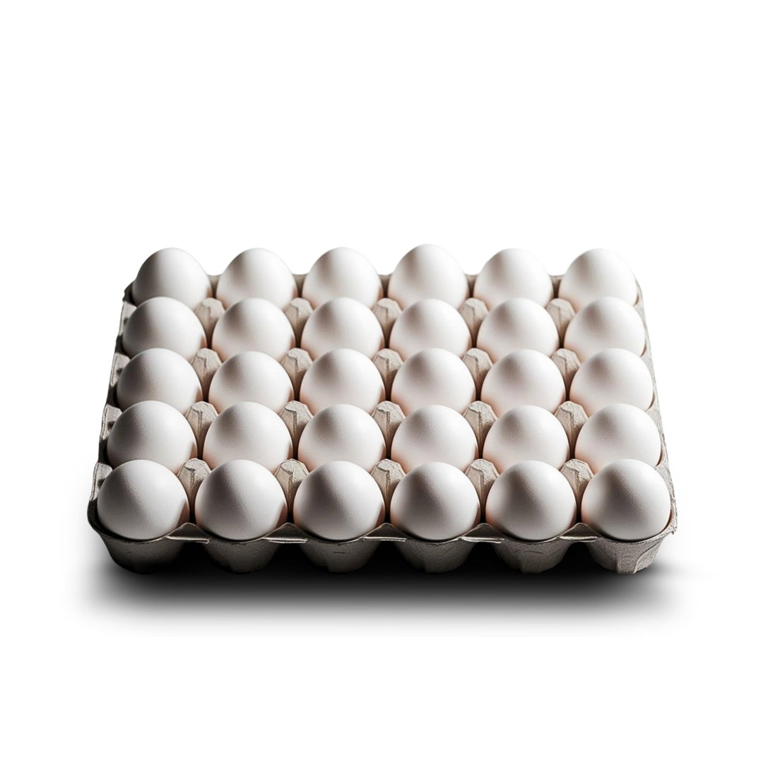 Free Range - XL White Eggs (Tray of 30 eggs)