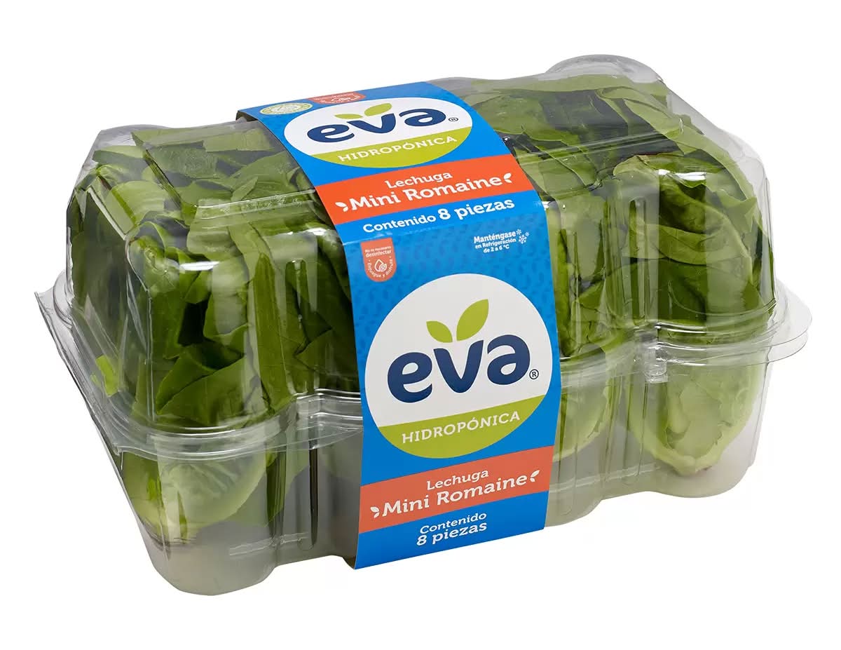 Eva Lechuga mini romaine hidropónica 8 un_0