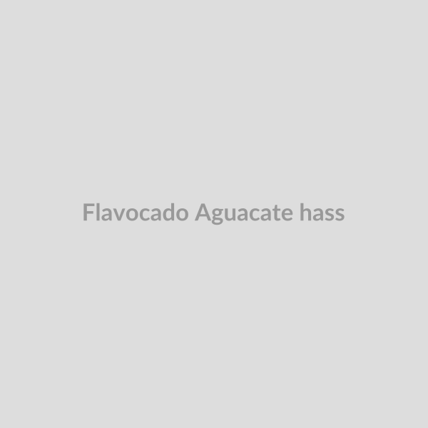 Flavocado Aguacate hass_0