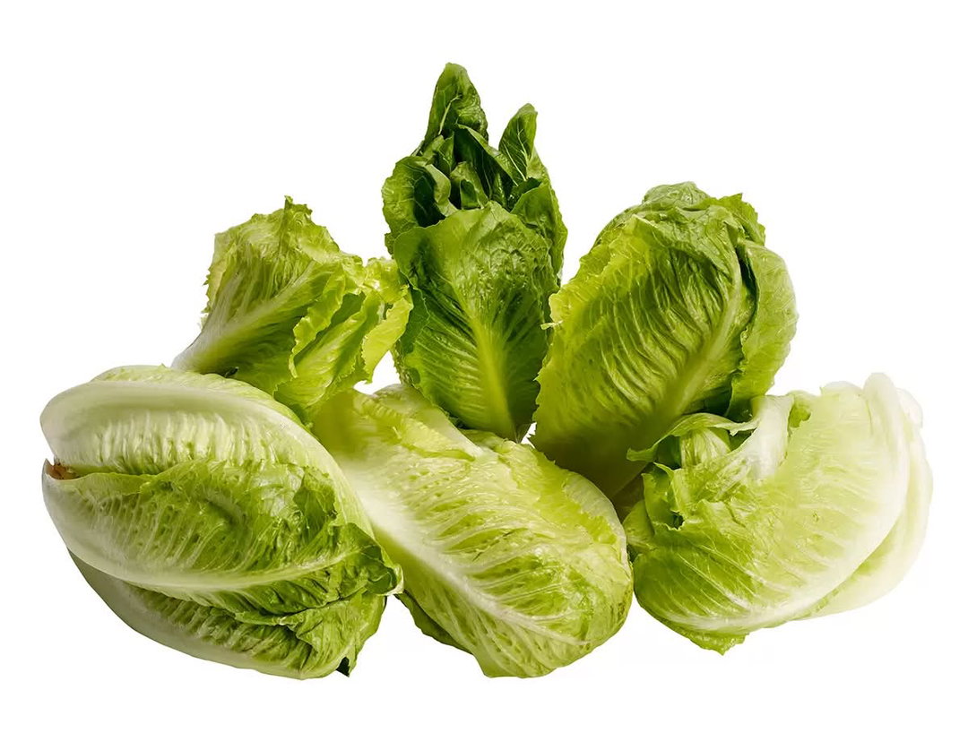 Fresh Garden Lechuga dulce sucrine 6 un