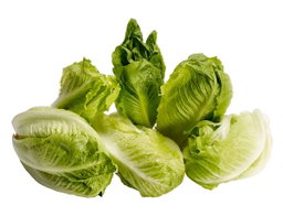 Fresh Garden Lechuga dulce sucrine 6 un