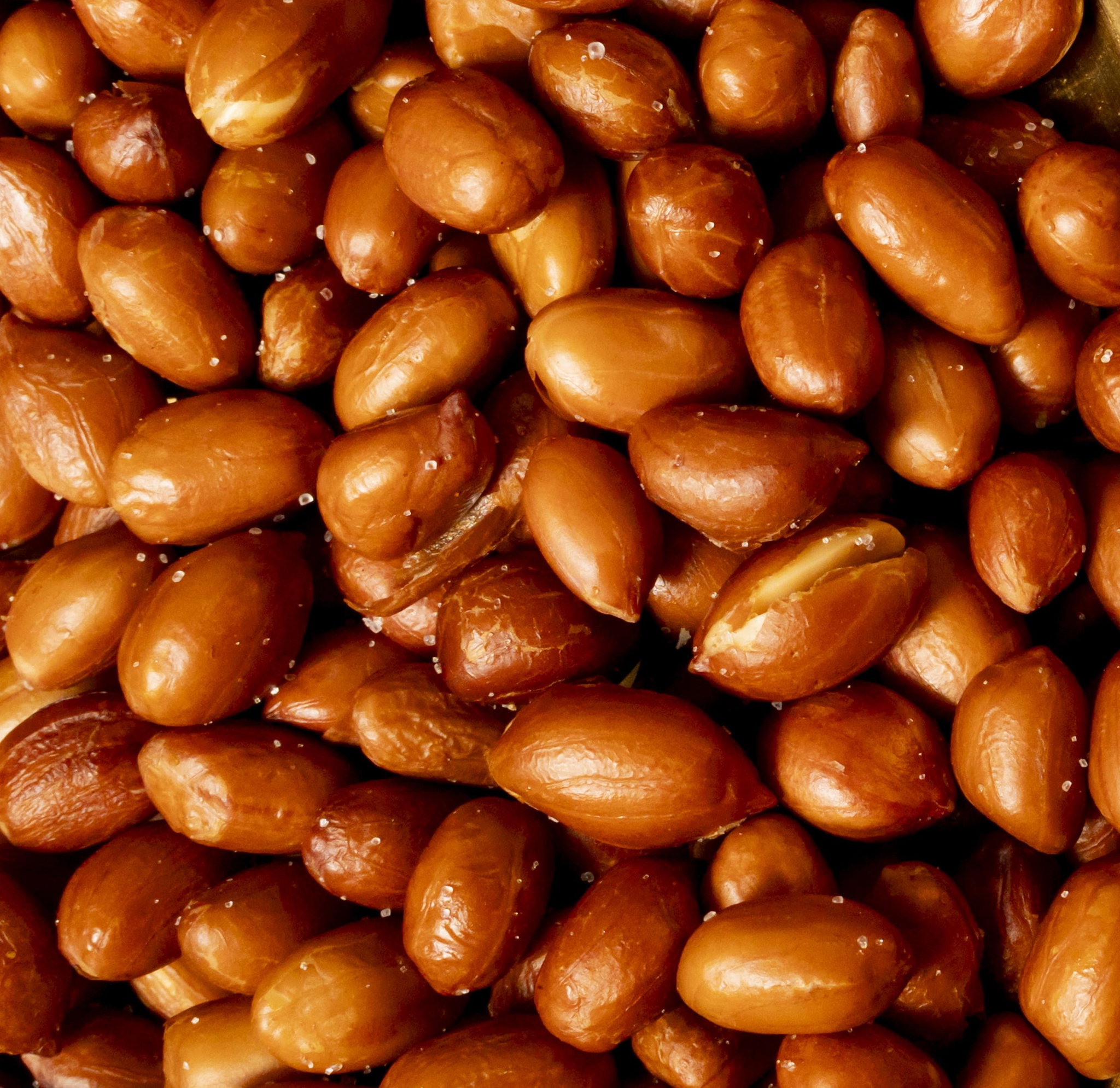Fried Peanut / வேர்க்கடலை_0