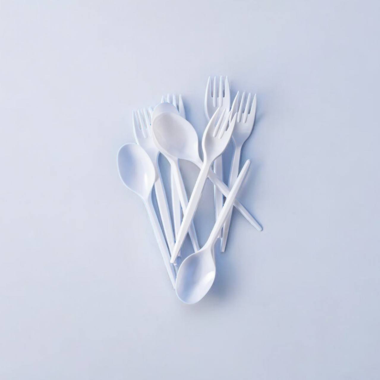 Biodegradable Cutlery (Set of 20)_0