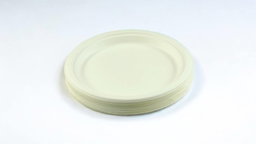 Disposable Plates (20 Pieces)