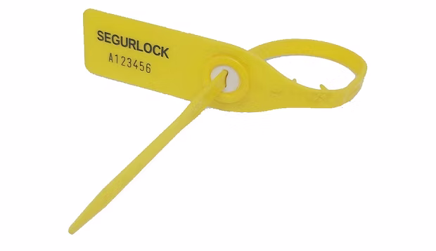 SegurLock_0