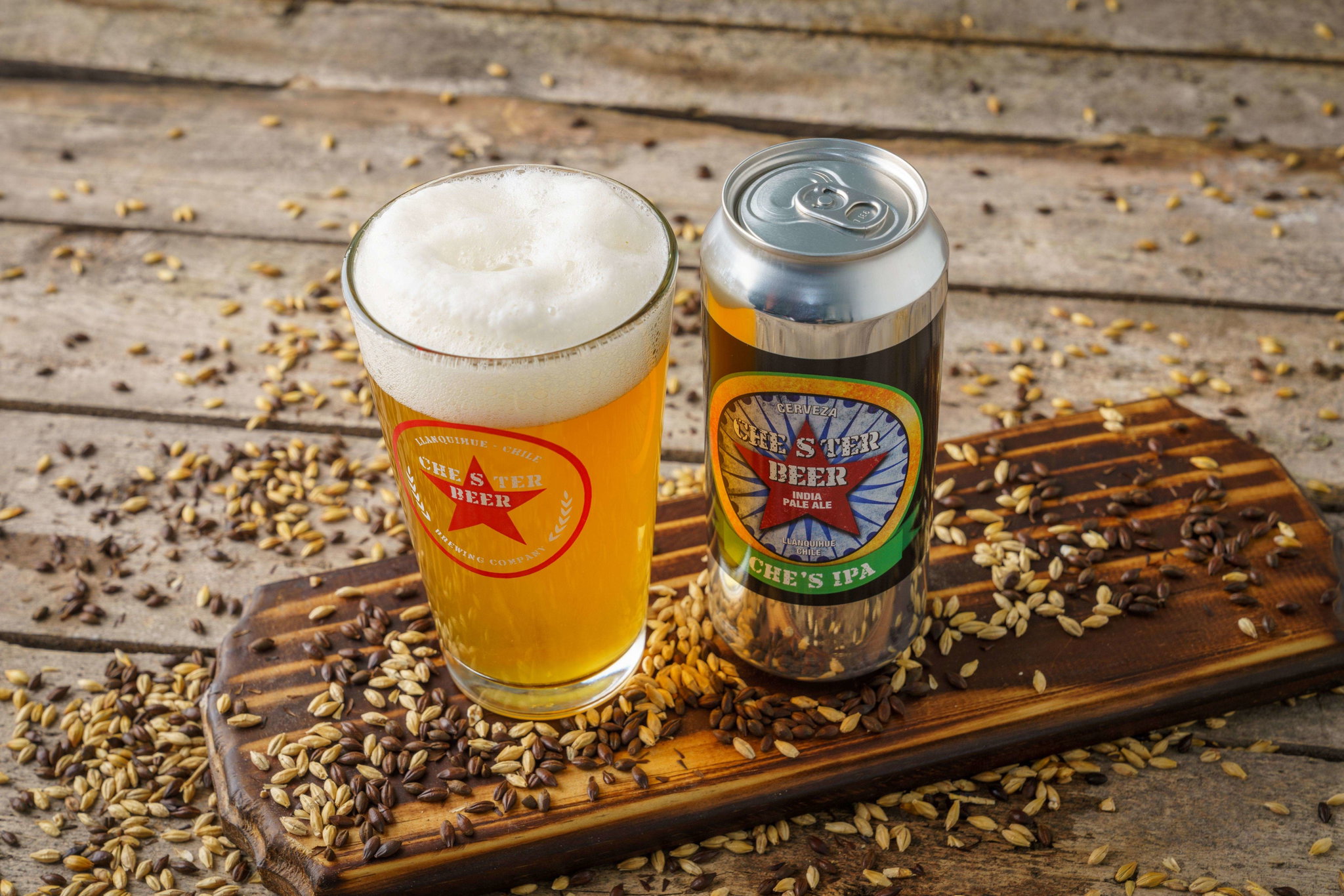 CAJA 24 LATAS - CHESTER CHE'S IPA_0