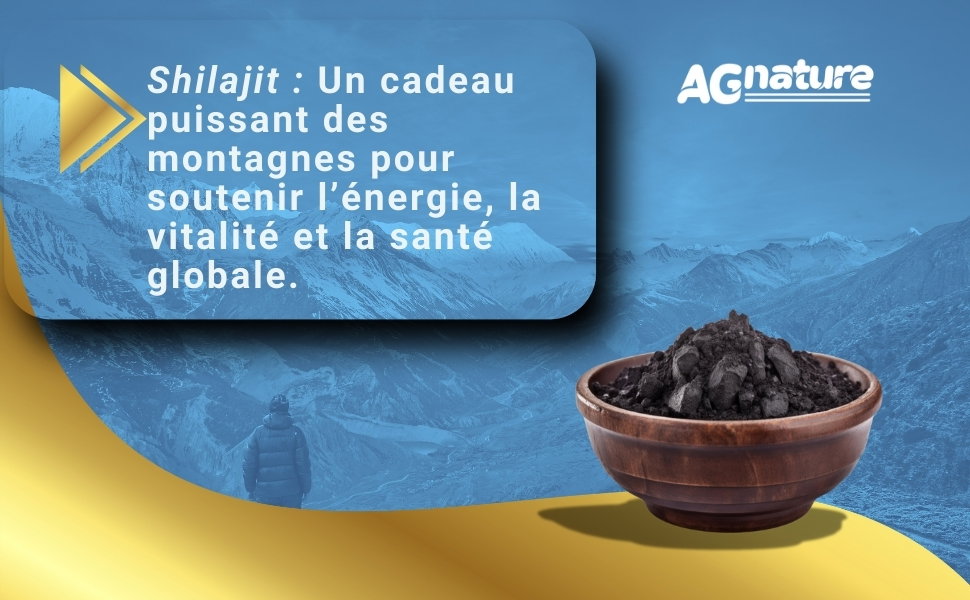 AG nature Shilajit Pur Himalayen Original Fort 60 Gélules _3
