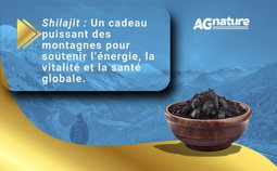 AG nature Shilajit Pur Himalayen Original Fort 60 Gélules 