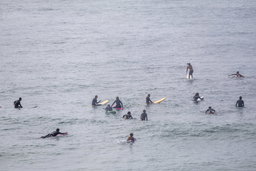 Surf Lessons For Beginners 