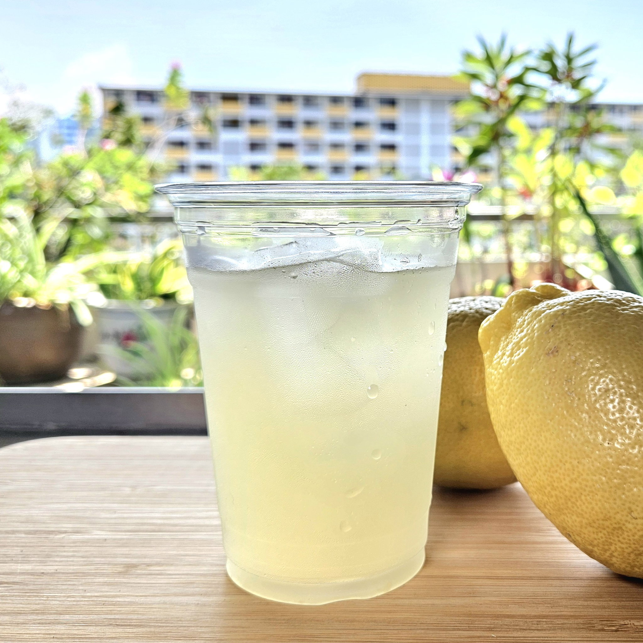 Homemade Lemonade_0