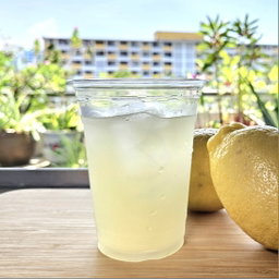 Homemade Lemonade