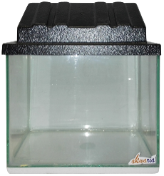 Aquariums