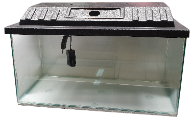 Aquariums_9