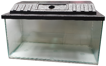 Aquariums_11