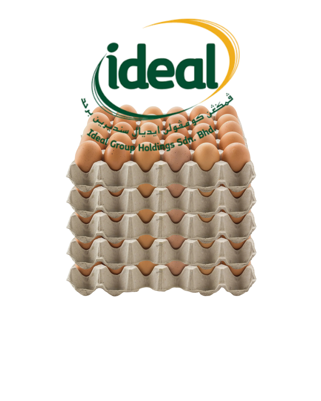 Ideal Fresh Chicken Eggs 5 X Grade AA 30s_0