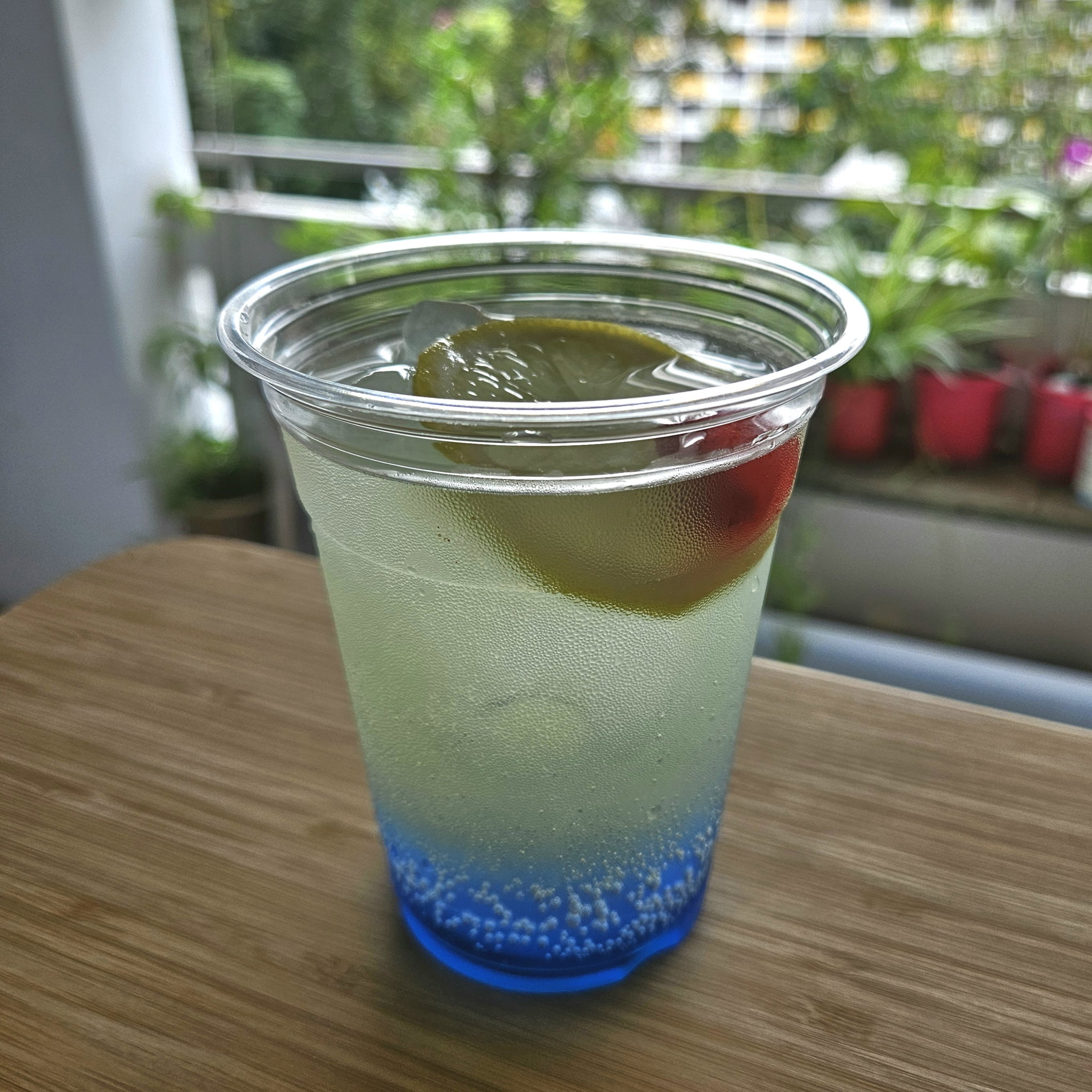 Homemade Lemonade_1