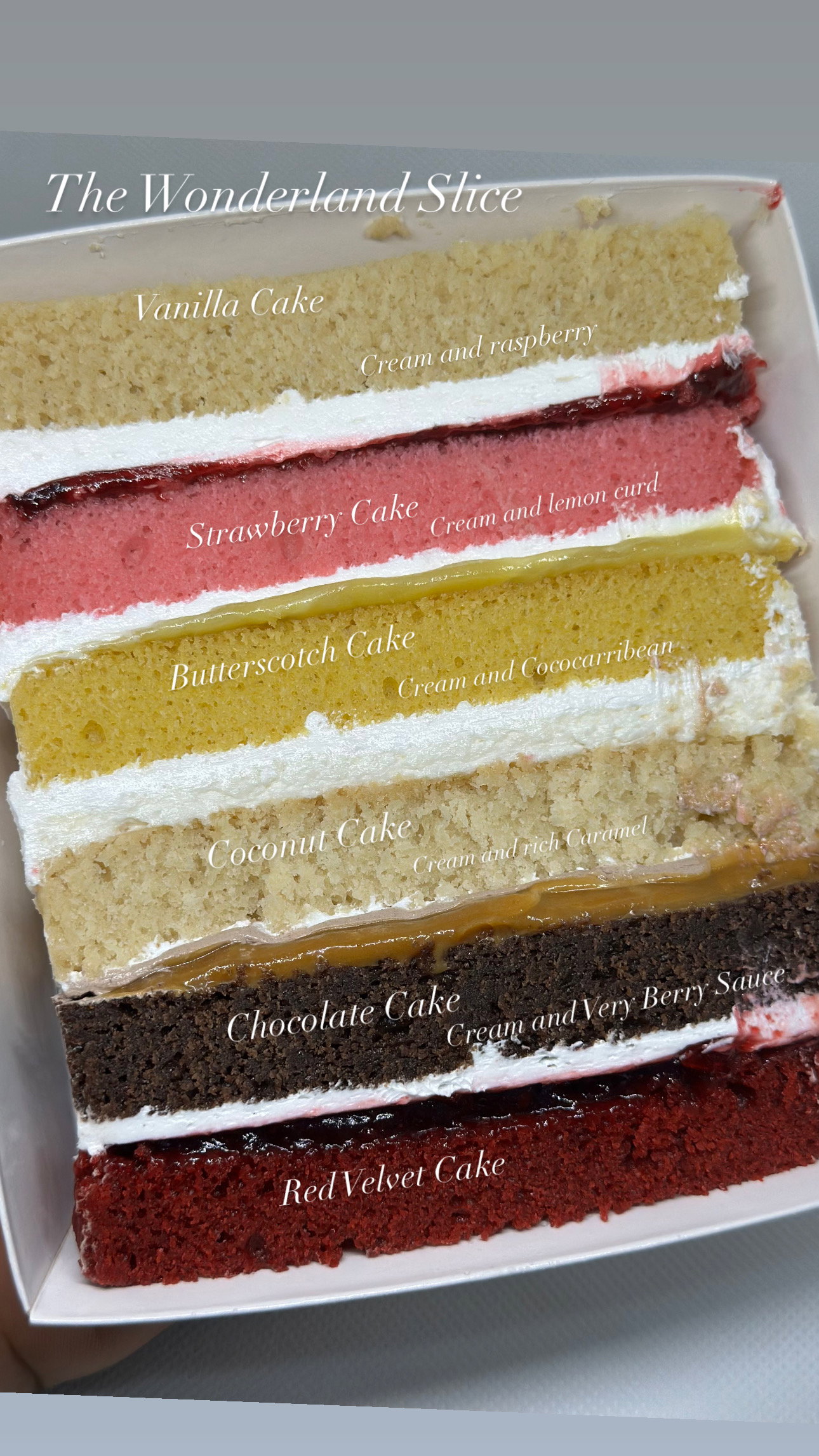 Cake Slices_1