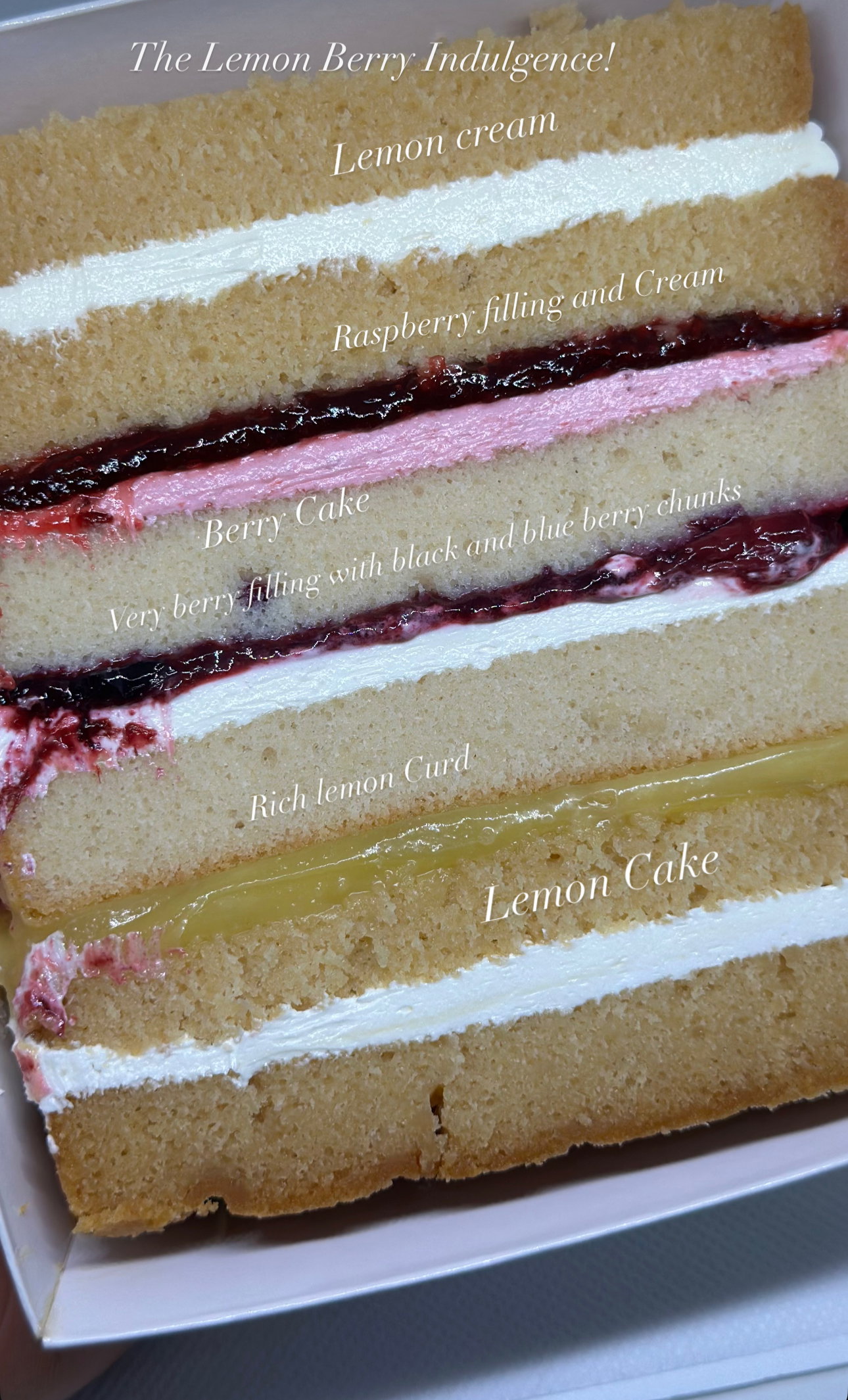 Half A Slice! _5