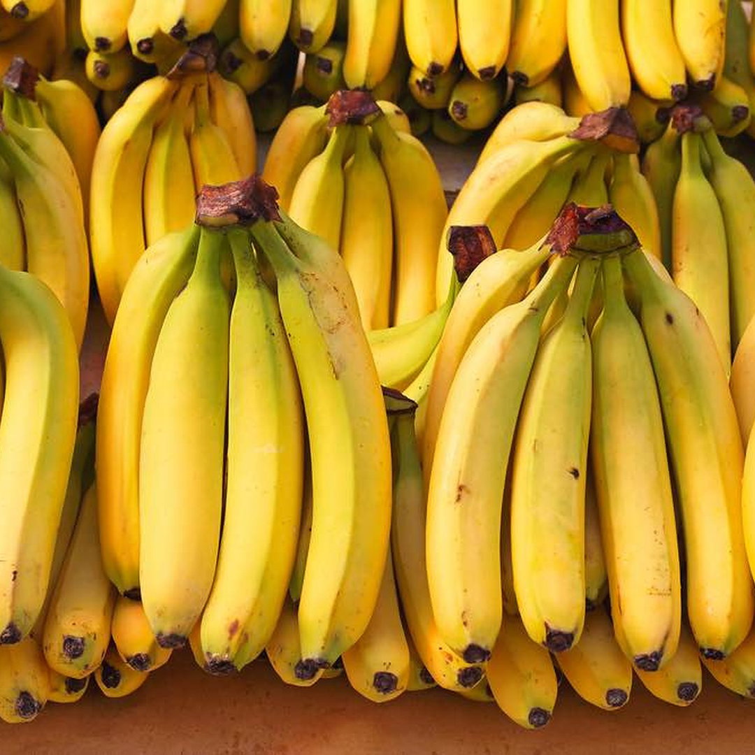 Banane Plantain