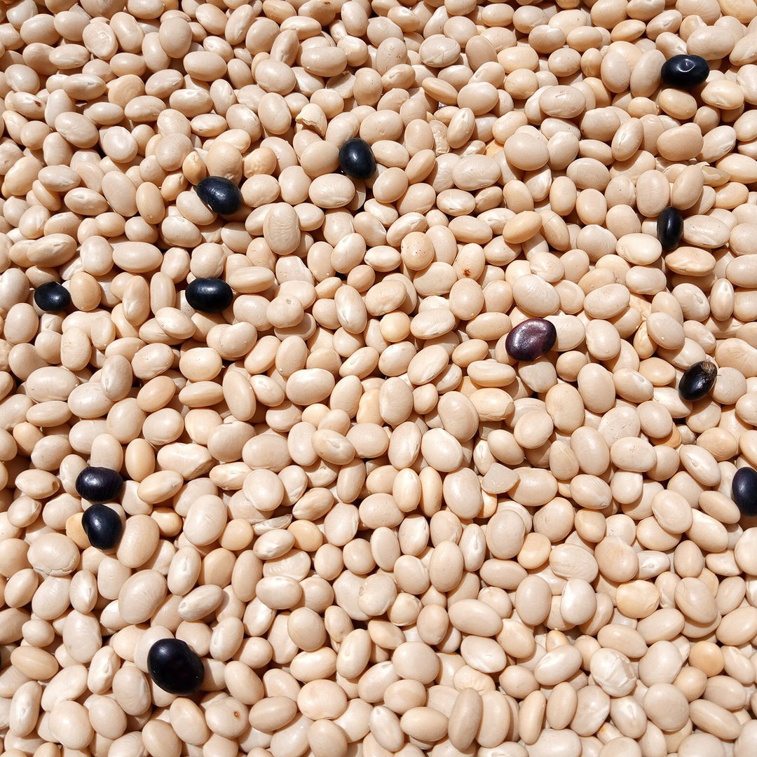 Cassoulet