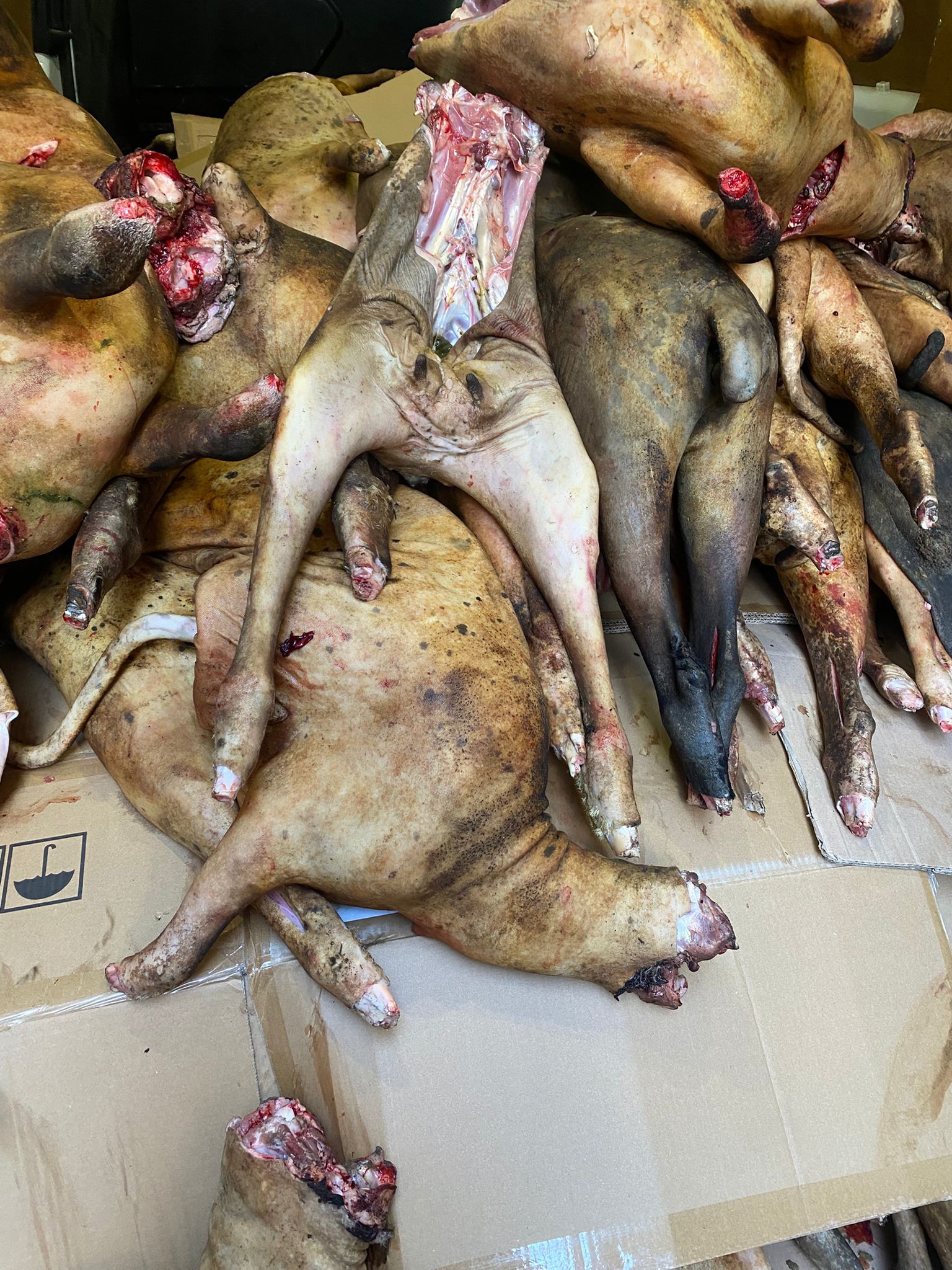 Nigerian Fresh Goat Meat with skin_0