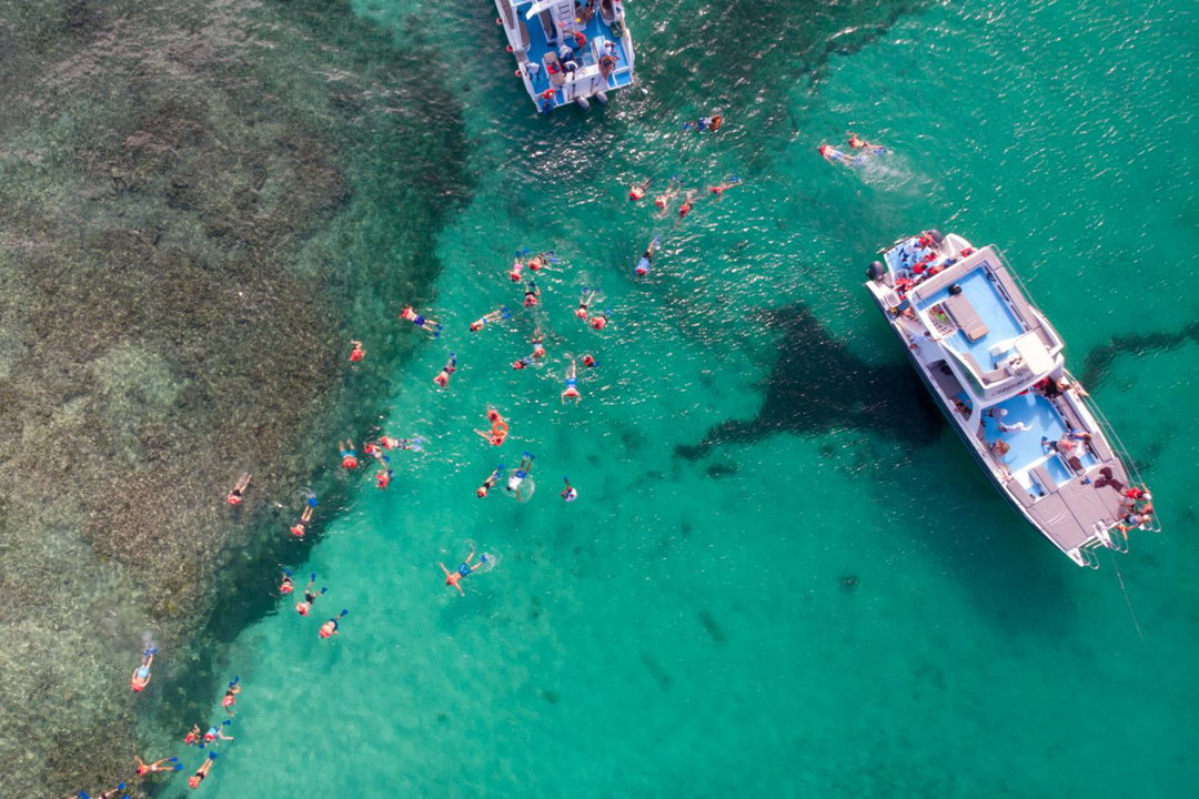 Ojos indigenas y catamaran