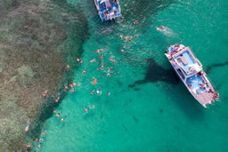 Ojos indigenas y catamaran 