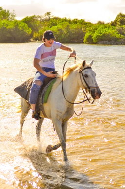 Paseo a Caballo con playa Macao