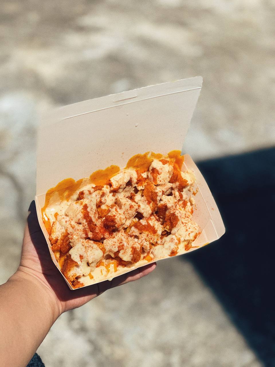 Chicken Loaded Fries_0