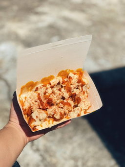 Queso Fries House