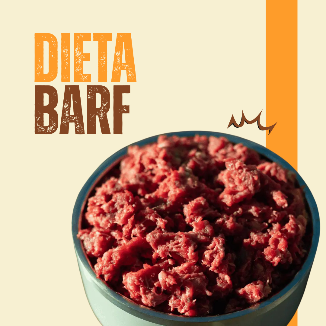 Dieta BARF para perros_0