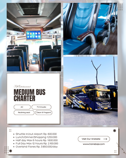 Bus Medium 