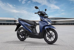 Scooter Rental