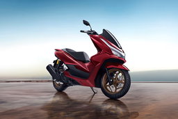 Scooter Rental