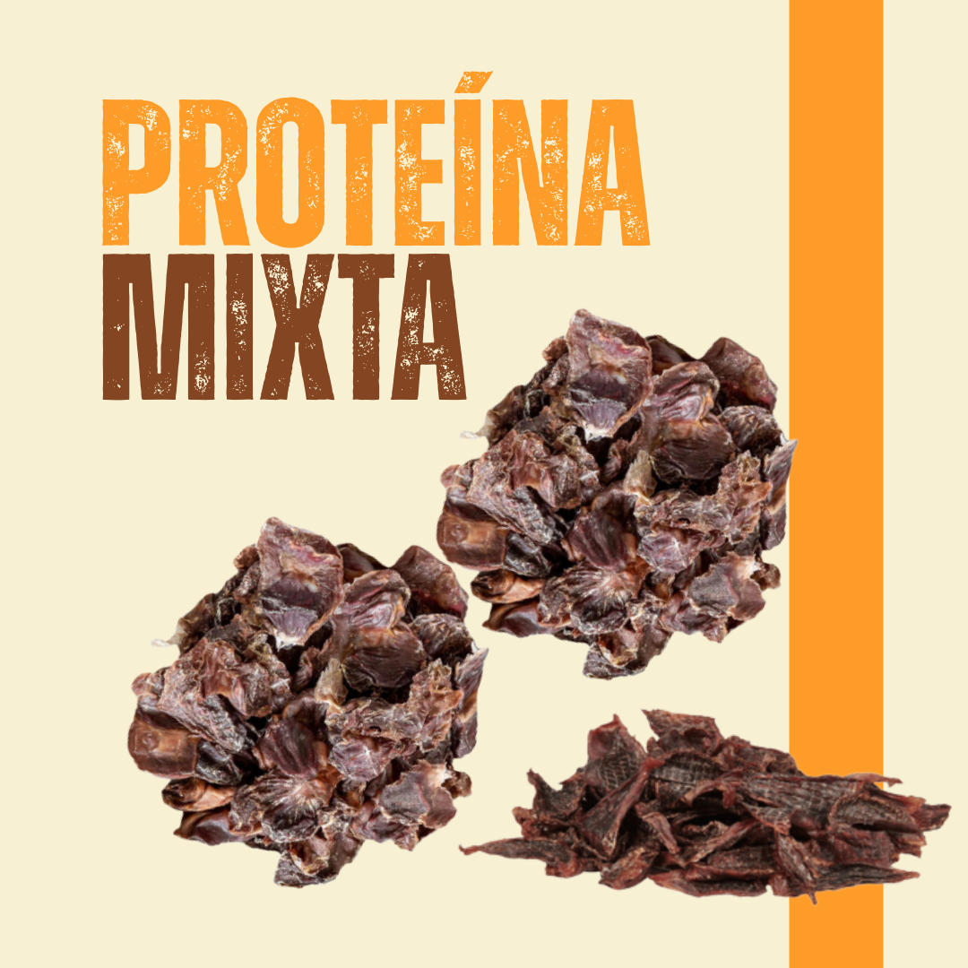 Power Protein Pack_0